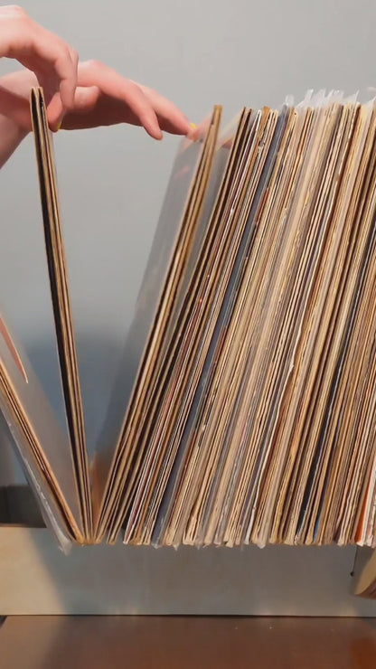 Vinyl Flip Rack - LP Storage Solution